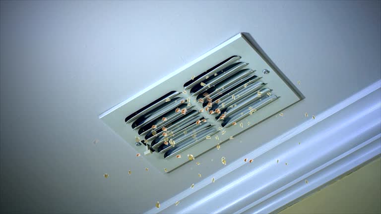 Best Professional Duct Cleaning Services  in Comanche, TX